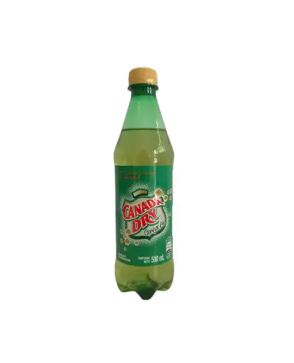 Canada Dry Ginger Ale 500ml